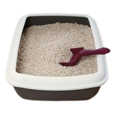 Cat Litter Box